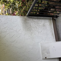 Door Painting and sell prep — before
