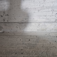 Foundation Crack Repair — before